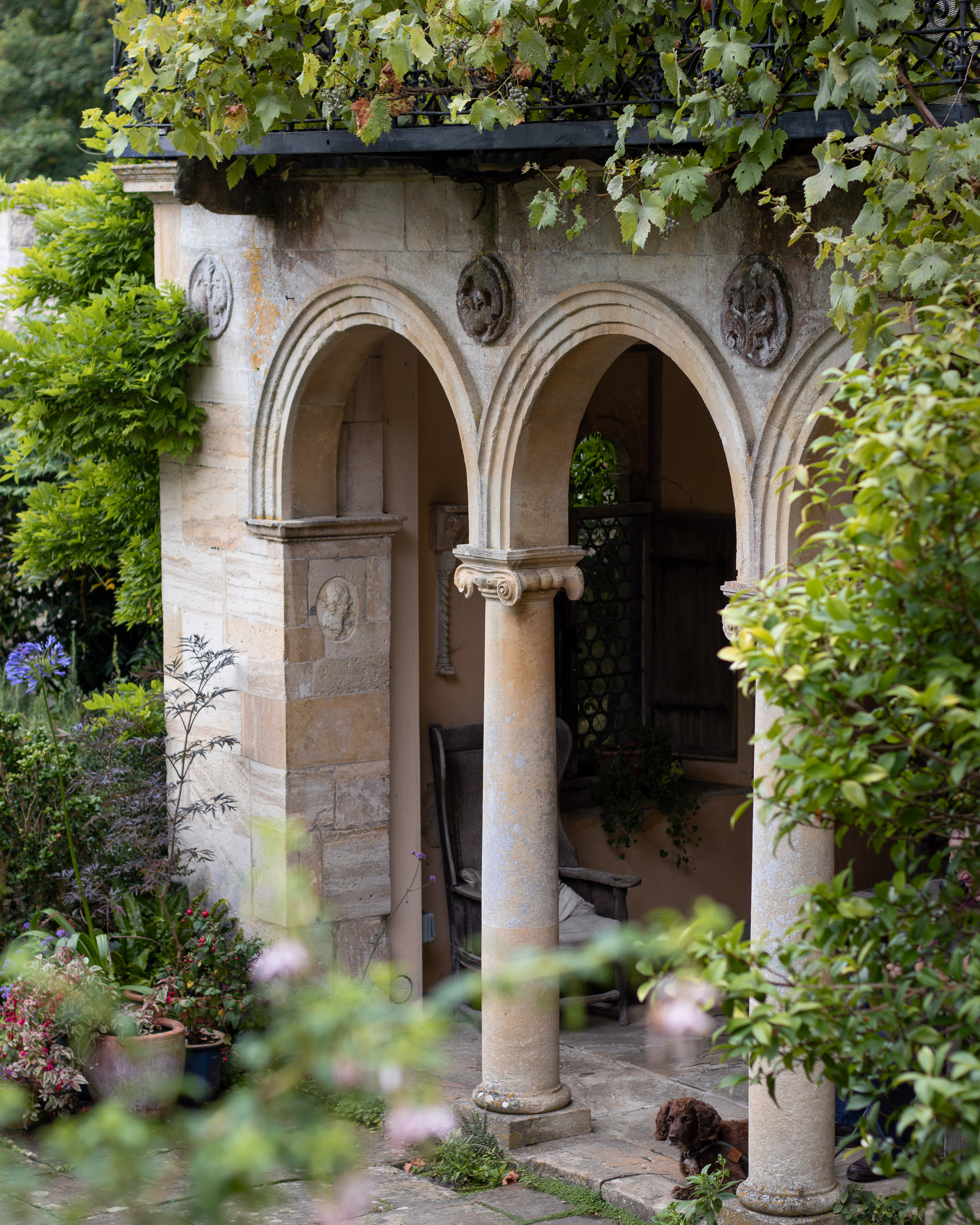 Italianate stone loggia with twin columns and carved roundels, framed by greenery and a spaniel resting in the shade